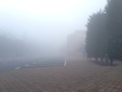 legol-sass:  Our school this morning