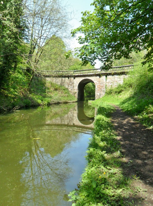 vwcampervan-aldridge: Bridge to Chillington Hall, Staffordshire, England All Original Photography by