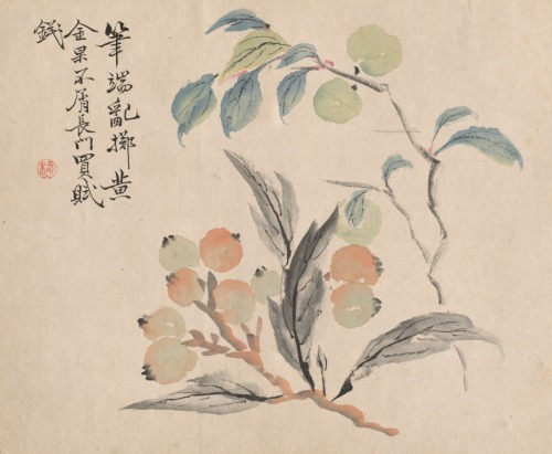 cma-japanese-art:Loquat Tree of Japan, Tsubaki Chinzan, Cleveland Museum of Art: Japanese ArtSize: S