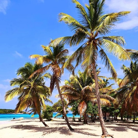 islandtimes: