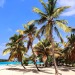 islandtimes: