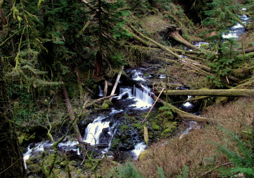 Multnomah Creek, OregonNovember 2013 