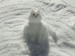 went to see some snow today and made a snowcat