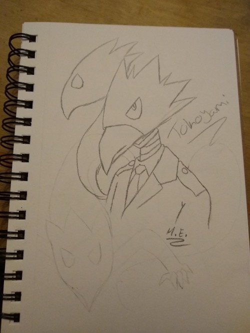 Did Some My Hero Academia And Mao Mao: Heros Of Pure Heart Fan Art