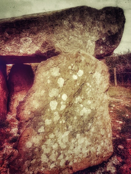 Ty Newydd Prehistoric Burial Chamber, Anglesey, North Wales, 21.7.18.