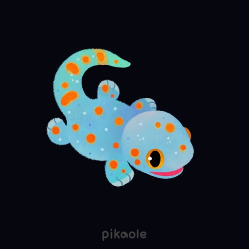 pikaole:Gecko[ Patreon / twitter / insta / galaxy themes / shop ]