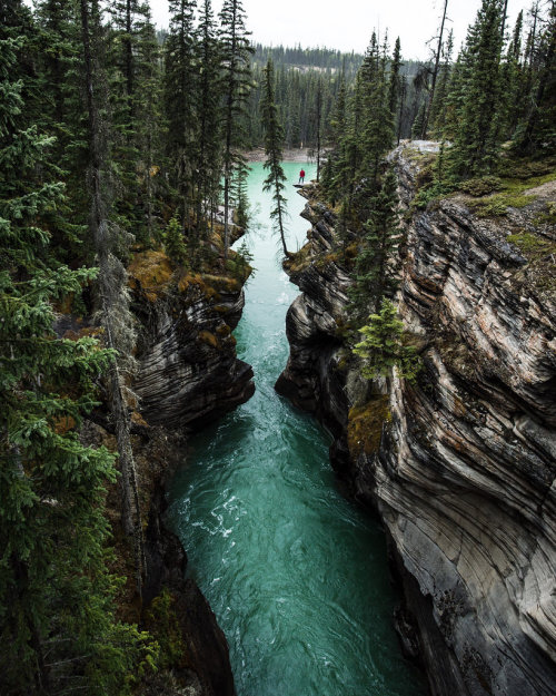 wanderthewood:Athabasca Falls, Jasper National Park, Alberta, Canada by Tanner Wendell Stewart