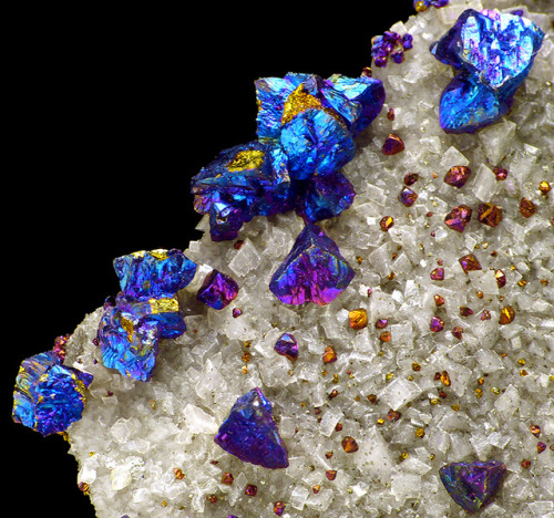 Chalcopyrite & DolomiteLocality: Brushy Creek Mine, Reynolds County, Missouri, USASize:  7.7 x 6