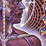 thisnoiseinsidemyhead:  Favorite albums meme (3/?)∟Tool_ Lateralus (2001)  The majority of the record is about re-communication, about understanding where you are in reference to where you’ve been and where you’re going. It’s the process of letting