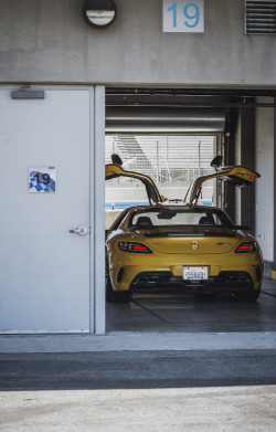 rralker:  2015 Merc SLS AMG Black Edition