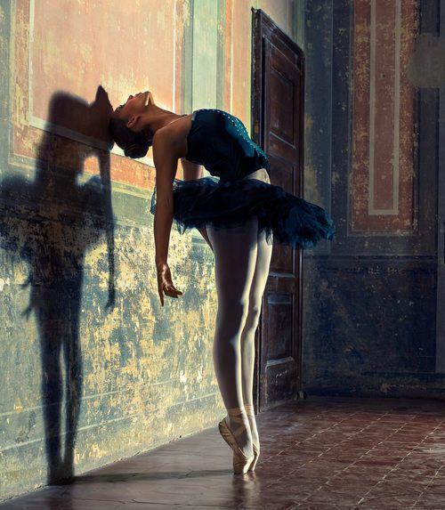 carpe diem