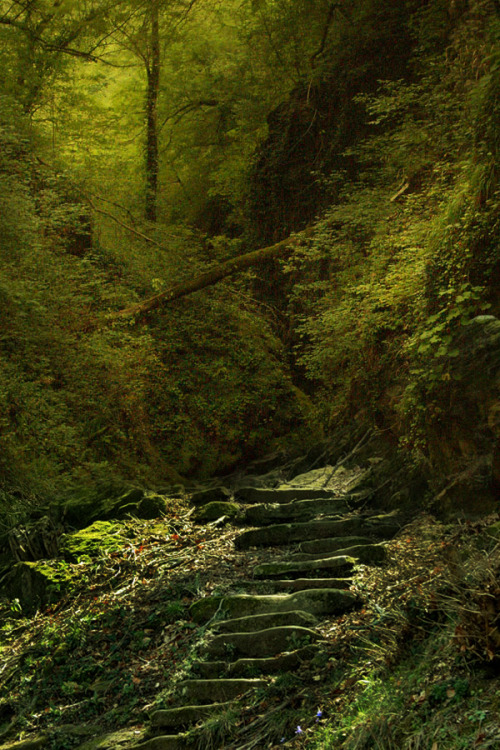 mazazzii:  background14 by ALiceFaux  