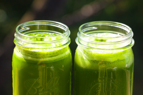 Olenko&rsquo;s Green Detox Juice spinach kale apple lemon arugula cucumber parsley cilantro cele