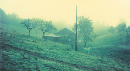 dappledwithshadow: Andrei Tarkovsky