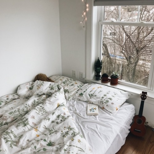 silkballerina: good morning. love my room.