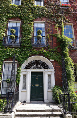 onlythequintessential:  fieldsinireland:  Georgian houses of Dublin, Ireland by Wendy_Armstro on Flickr.  onlythequintessential