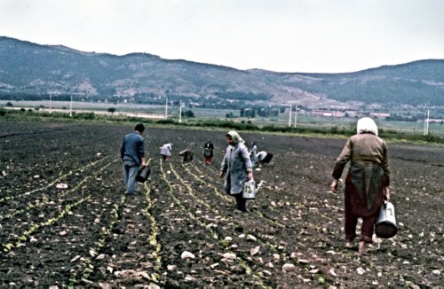 Photos captured everyday life of Polyanovo, Bulgaria in the 1970s.