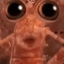 michaelmasiel