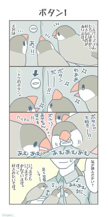 bunchobox:    ボタンの話　1。  