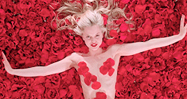 thisyearsboy:  Reasons the ‘90s Ruled - American Beauty [1999]“My name is Lester