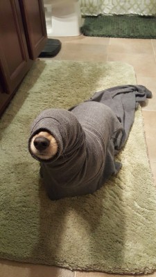 weallheartonedirection:  Found a loose seal