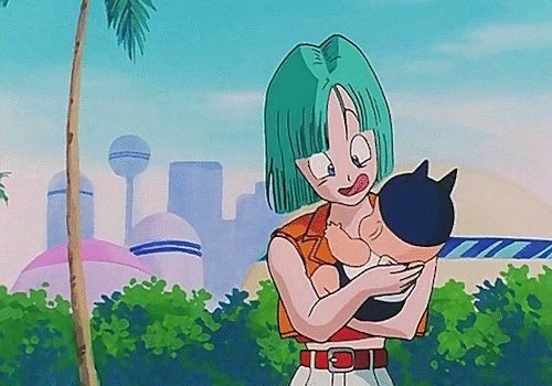 ✨BULMA & BABY TRUNKS✨