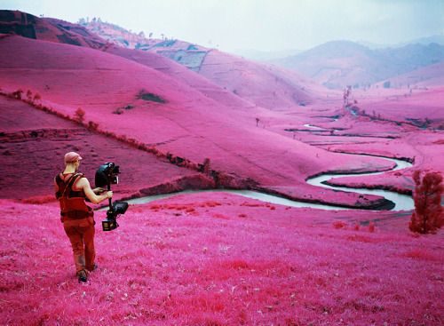 ryandonato:  Infrared landscapes by Richard Mosse 