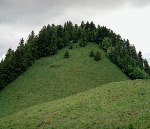ryshorosky:Forêt de Jor, 2013