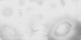 kxousei:one gifset per episode  ↳shigatsu wa kimi no uso 「 四月は君の嘘 」 ► resonance ( 09/22 )“ Thump, th