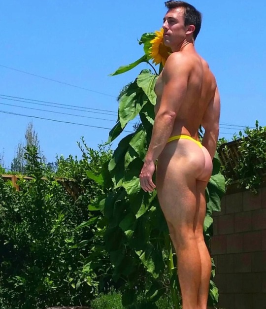 apolloeroscupido:  