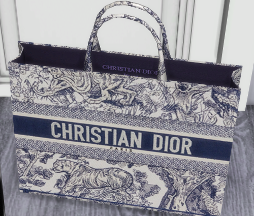 DIOR DIORIVERA BOOK TOTE DOWNLOAD    (Patreon).