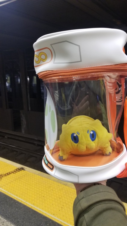 1863-project:Nintendo NYC had an egg incubator bag so I am now hatching Joltiks in the NYC Subway, j