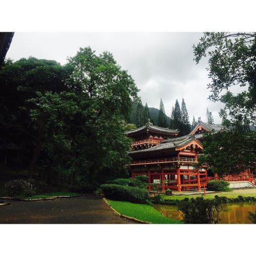 Japanese Buddhist Temple in the mountains by laurenjauregui