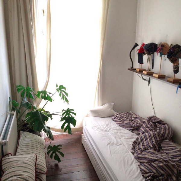 94mh:  greenery 🌿 