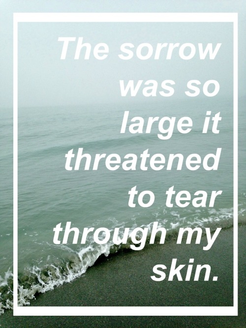 andr0medaas: The Song of Achilles by Madeline Miller.