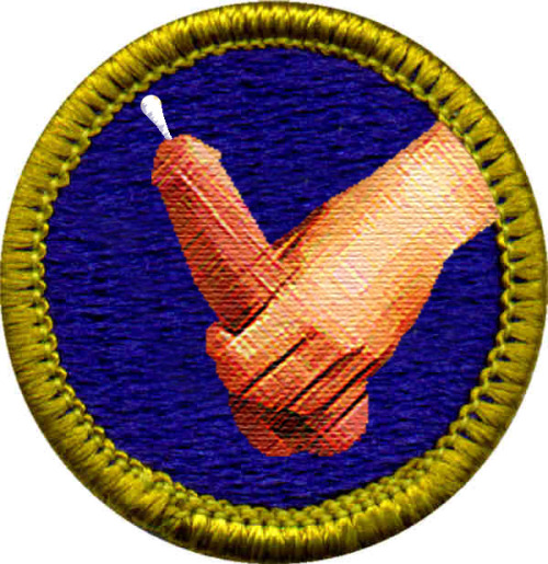 Merit Badge