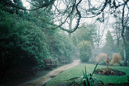 vatinime:bench by jamiehladky on Flickr.