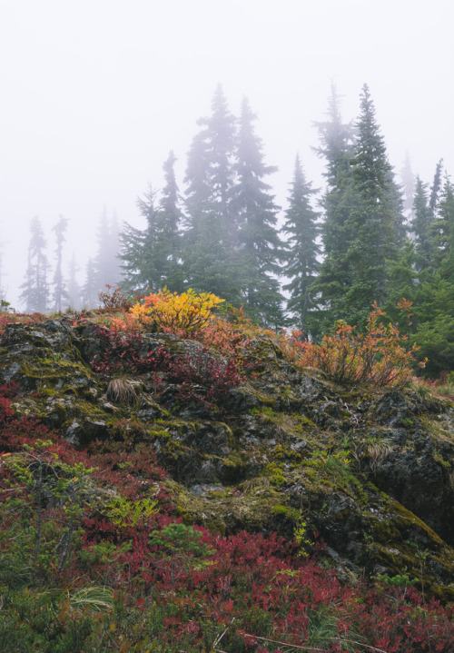 millivedder:Rock Slopes