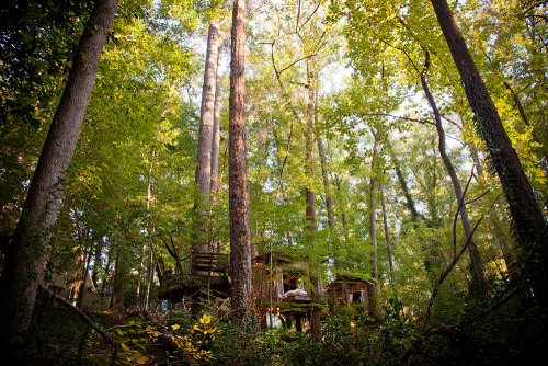 culturenlifestyle:  Beautiful Cozy Tree House Located in an Atlanta Backyard Located in his backyard, architect and environmentalist Peter Bahouth designed a dream treehouse linked by bridges in the Atlanta forest. Symbolizing “mind,” “body,”