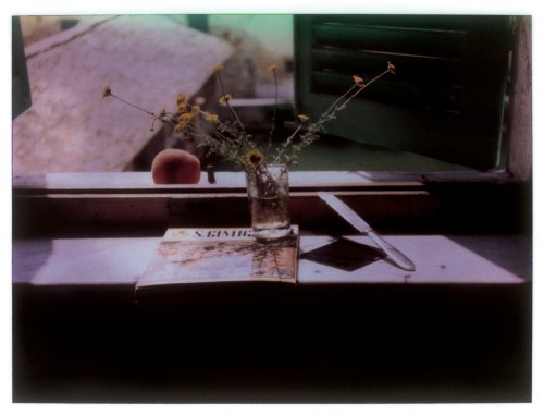 Porn Pics zzzze:Andrei Tarkovsky, Untitled  (Polaroids)