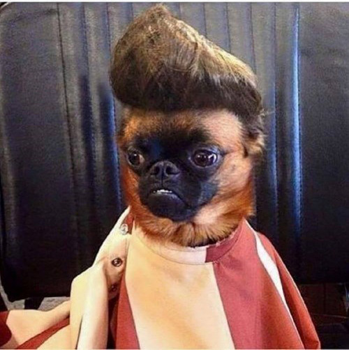 CUANDO VAS A LA PELUQUERIA