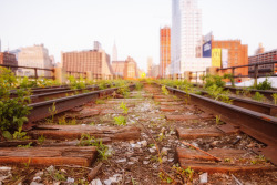 nythroughthelens:  High Line at the Rail Yards. The final section of railroad tracks. —-  The High Line is a public park that sits along a historic freight railroad line elevated high above the streets of New York City on the west side of Manhattan.