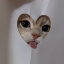 devlnette