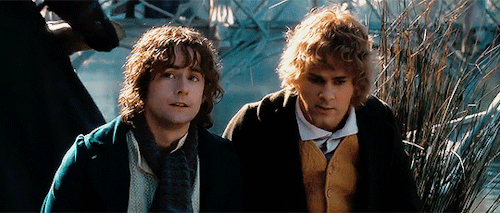 ltfrankcastle:Lord of the Rings: The Fellowship of the Ring | dir. Peter Jackson