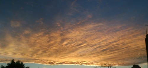 Día 1. “¡Qué sensibilidad la del sol!: sonrojar todas las noches el momento en el que se pone el sol.” Fabrizio Caramagna.