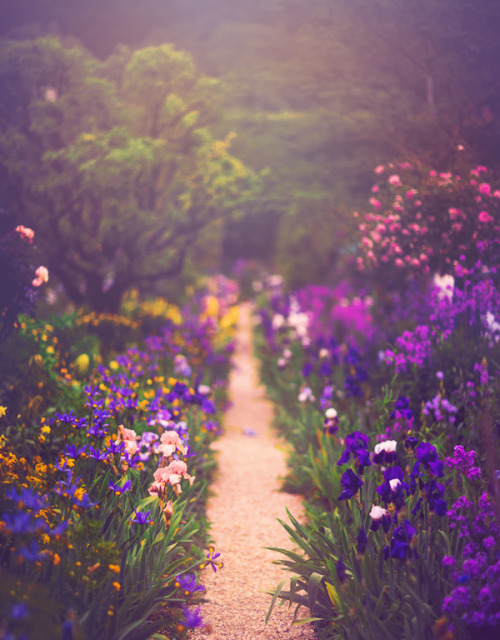 milamai:Walking with Monet - Claude Monet’s garden in Giverny, France (by Milamai) Ambulans cum Mone