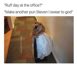 blakenstein:  #pun #dog #dogsofinstagram