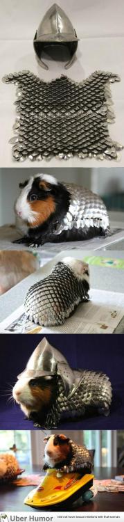 omg-pictures:  Preparing for battlehttp://omg-pictures.tumblr.com