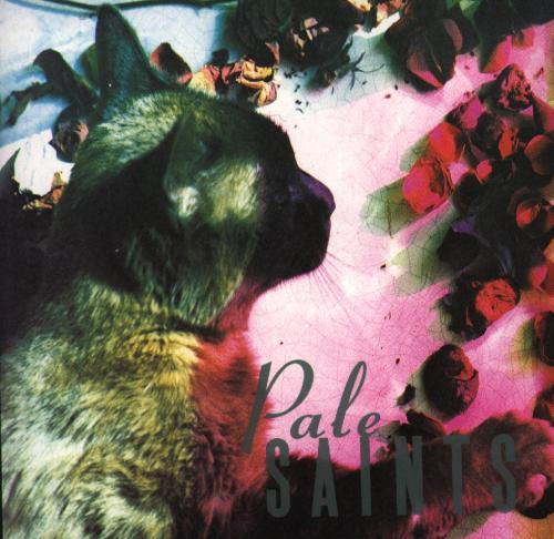 camillamorelli:  Cats on the covers of shoegaze albums Chapterhouse - Whirlpool Pale Saints - The Comforts of Madness Tokyo Shoegazer - Crystallize Secret Shine - Untouched