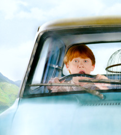 abloodymass:     Harry Potter Film Stills:   [6 / ?] [c]  